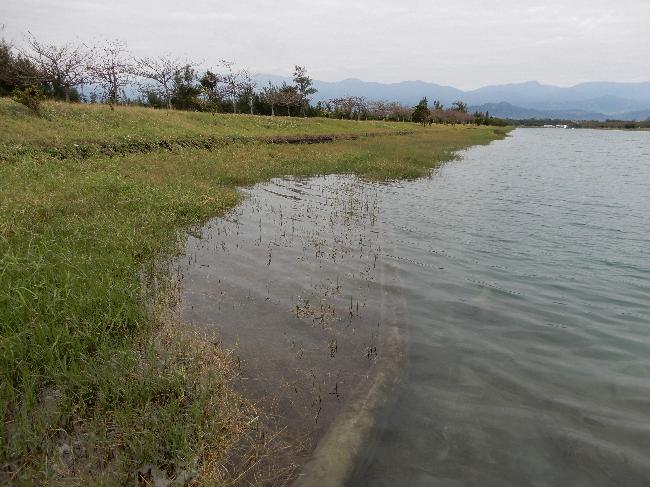 Coastal natural wetland