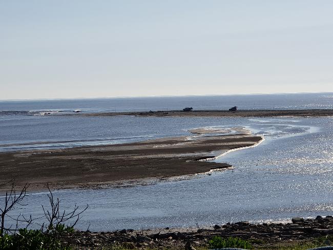 Coastal natural wetland