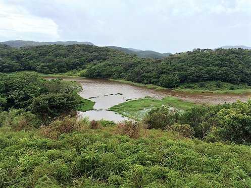 Nanren Lake Wetland