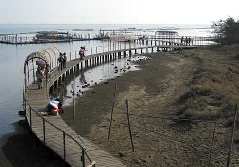 潟湖沙洲汕上旅遊