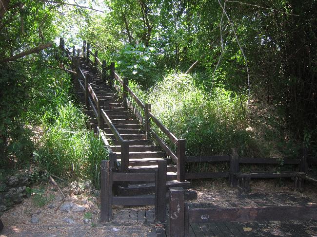 半屏湖爬山步道