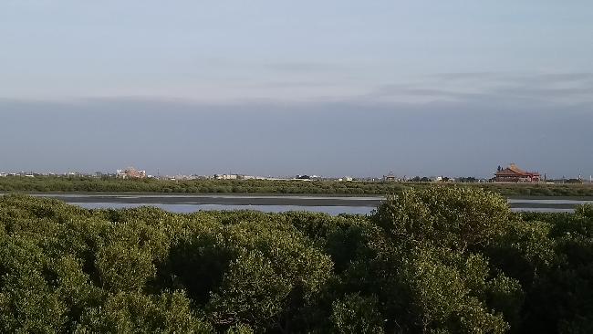 Puzih Estuary Important Wetland