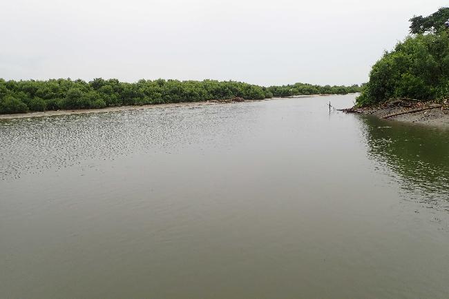 Yanshuei Estuary Important Wetland