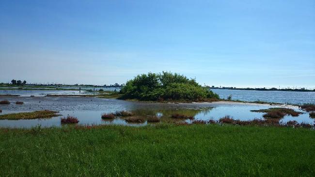 Chenglong Wetland