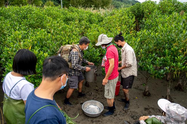 濕地種子營由專家帶領濕地種子營學員進行紅樹林生態調查