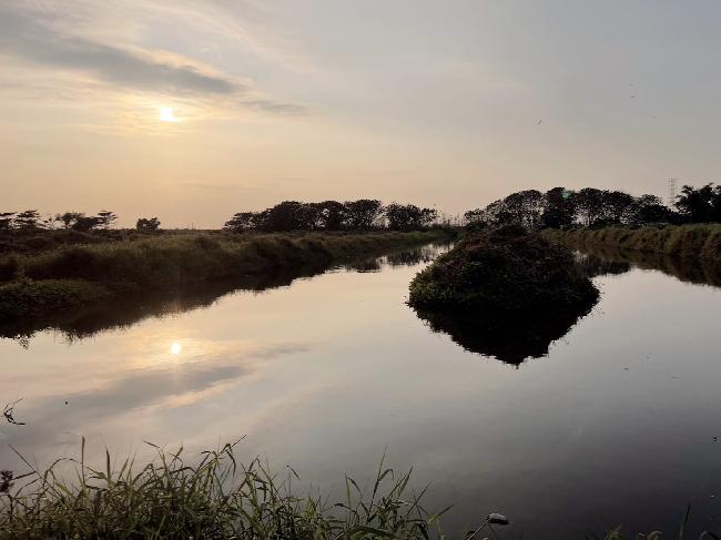 海豐濕地夕照(屏東縣政府提供)