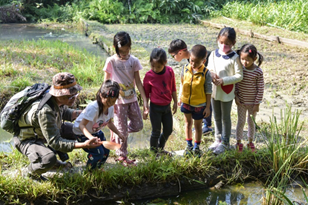 Ecosystem Observation