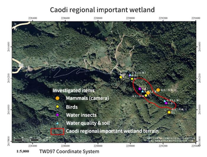 Caodi rigional important wetland