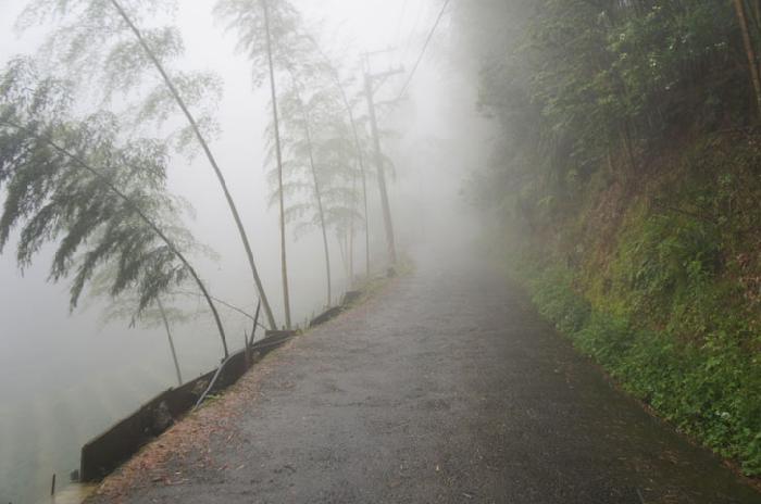 Surrounded by clouds and mists