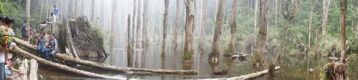 Caodi wetland