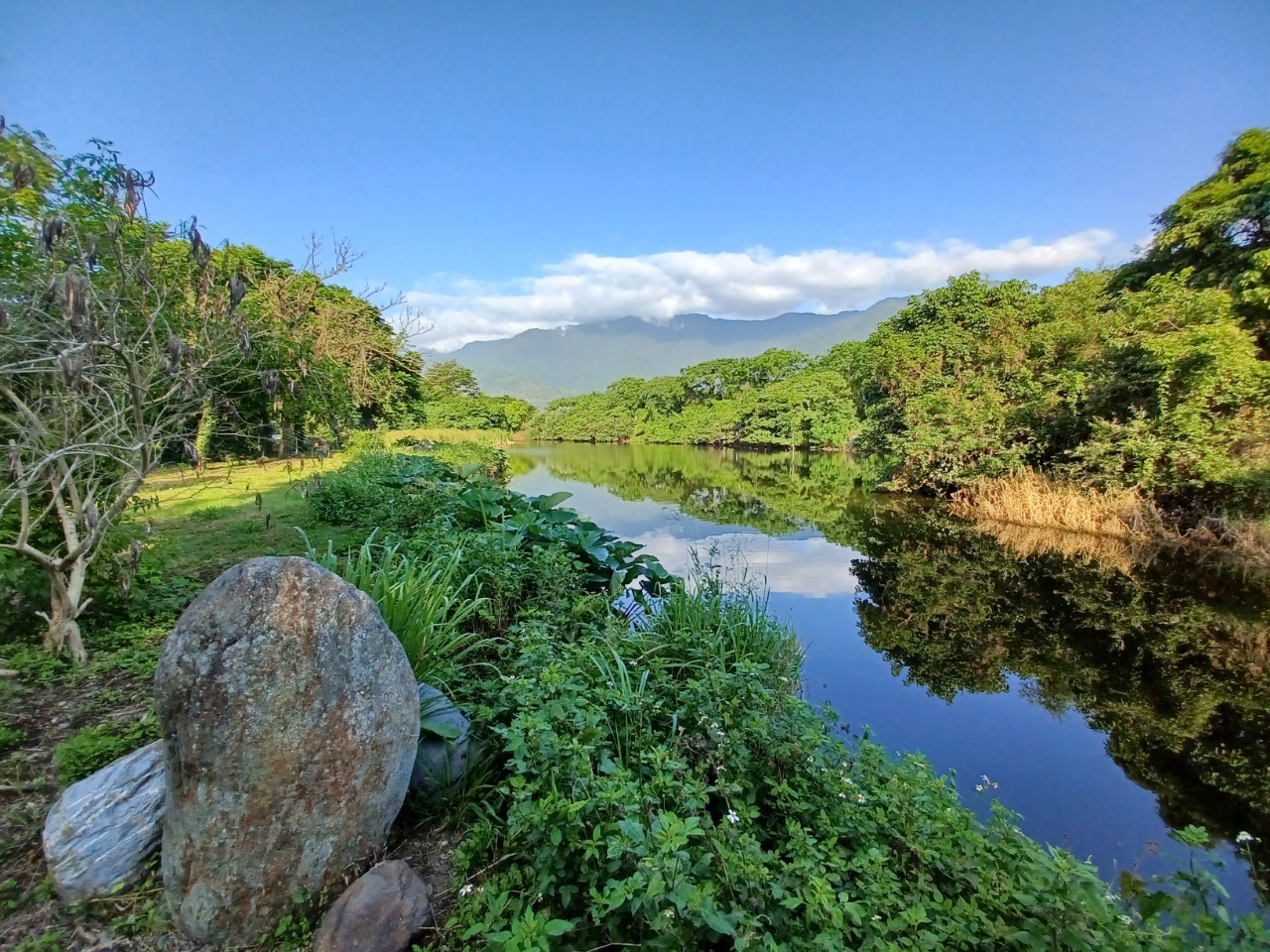 濕地願景