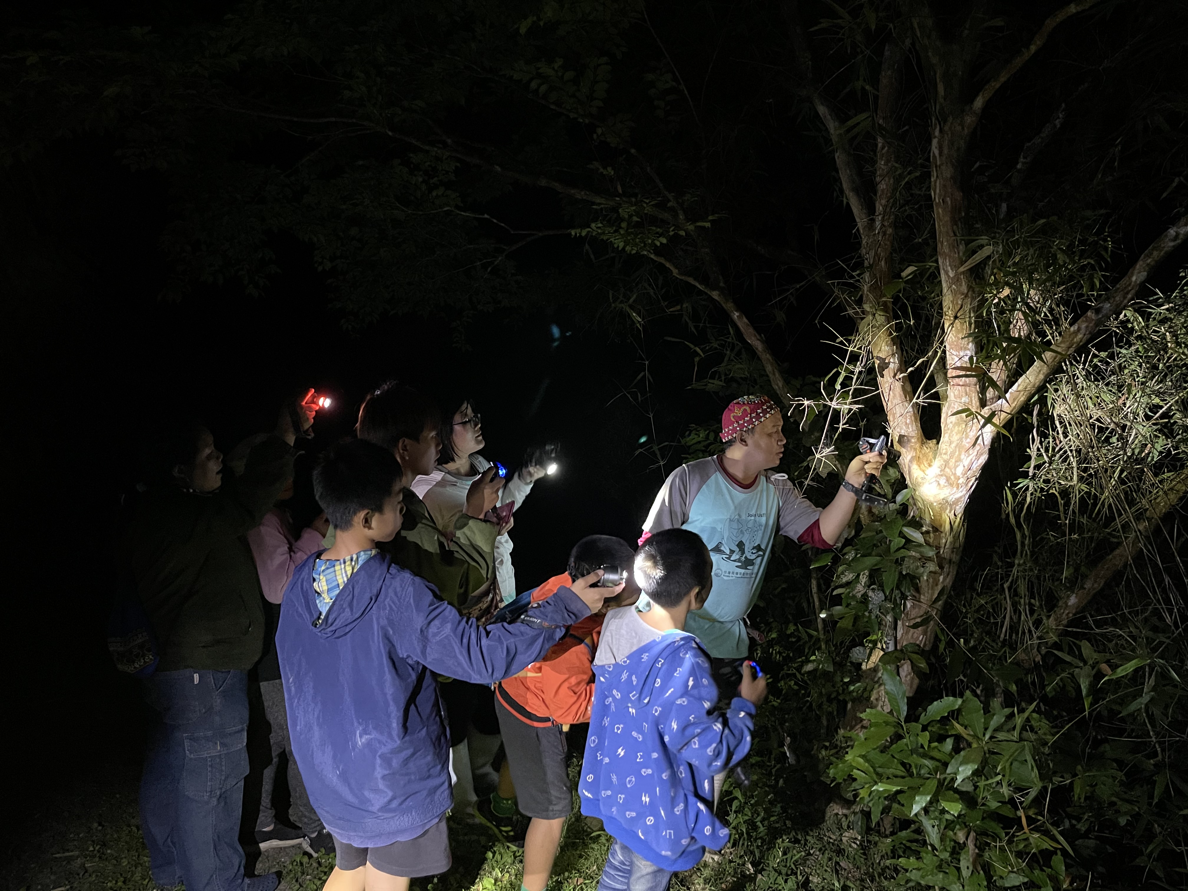 夜間觀查活動