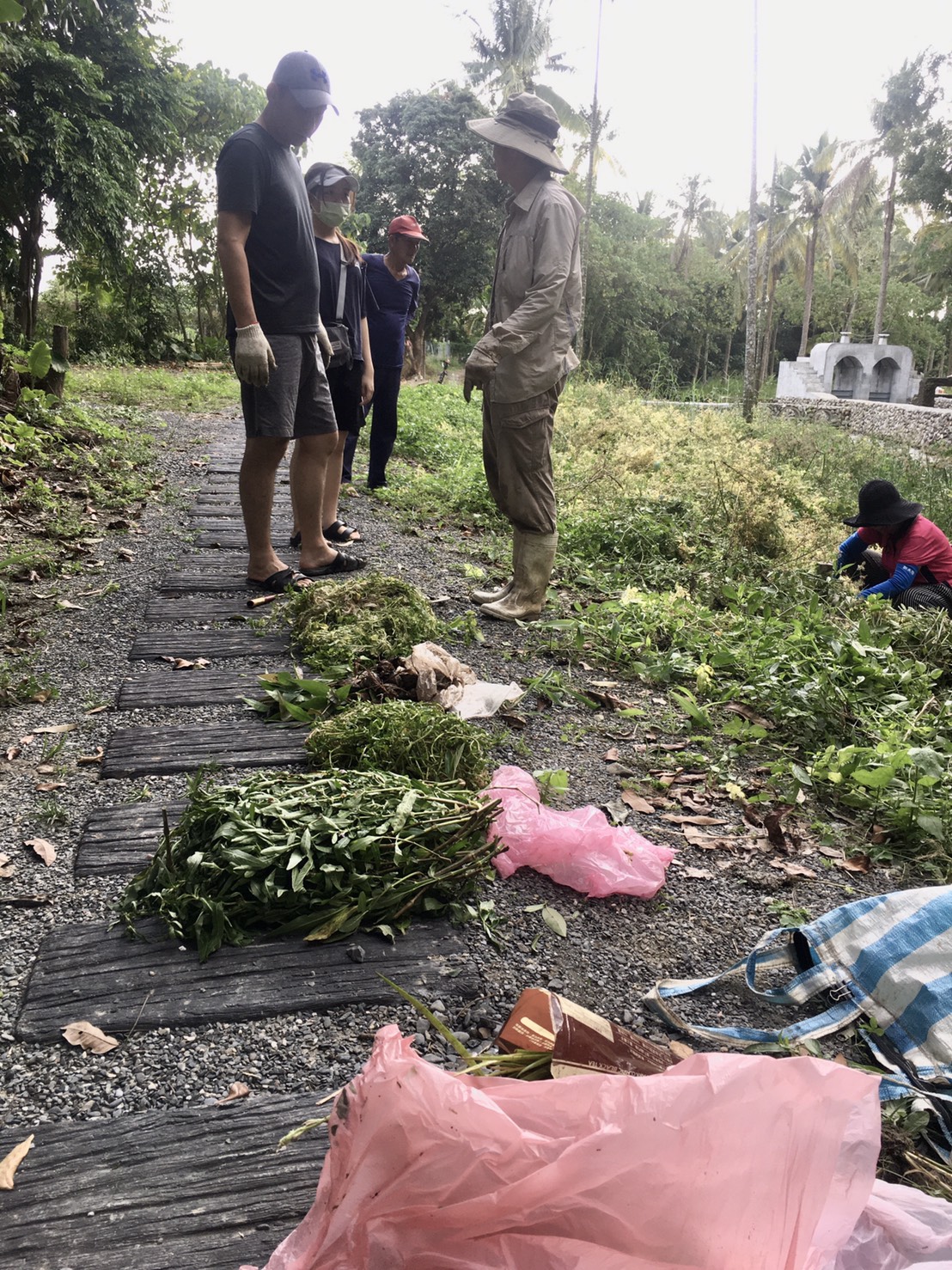 水草復育區將要栽植原 生種水草