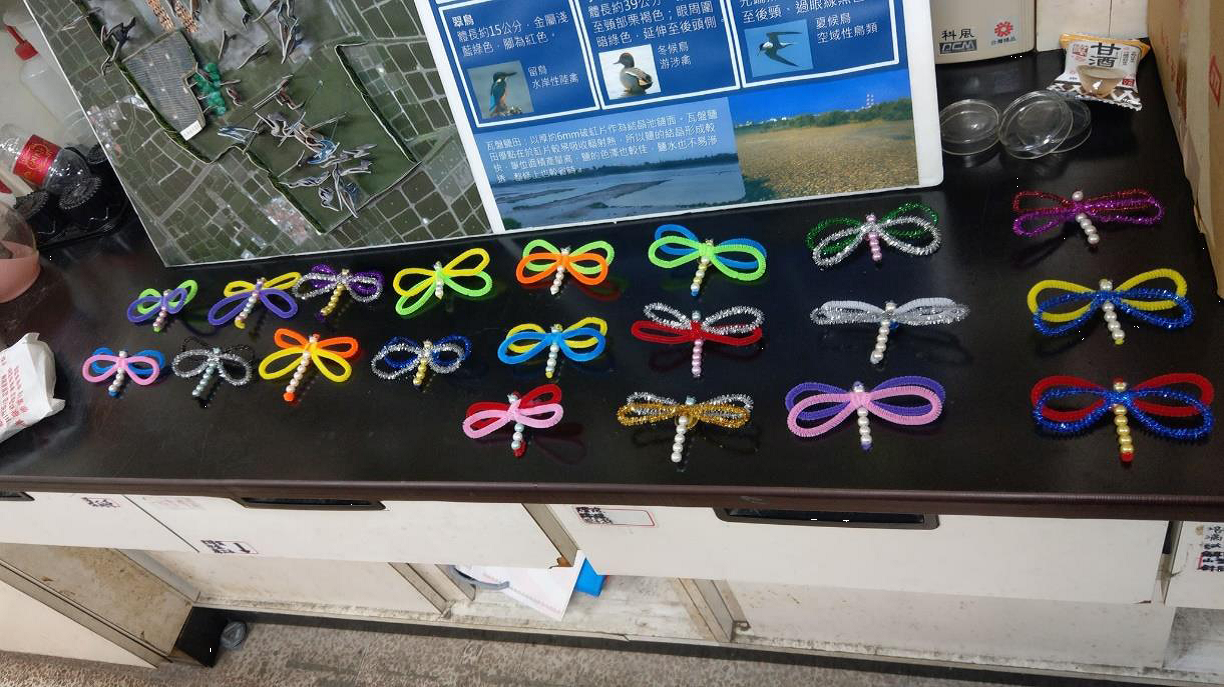 Yongan Important Wetland Ecological Education Center DIY Activity: Dragonfly DIY