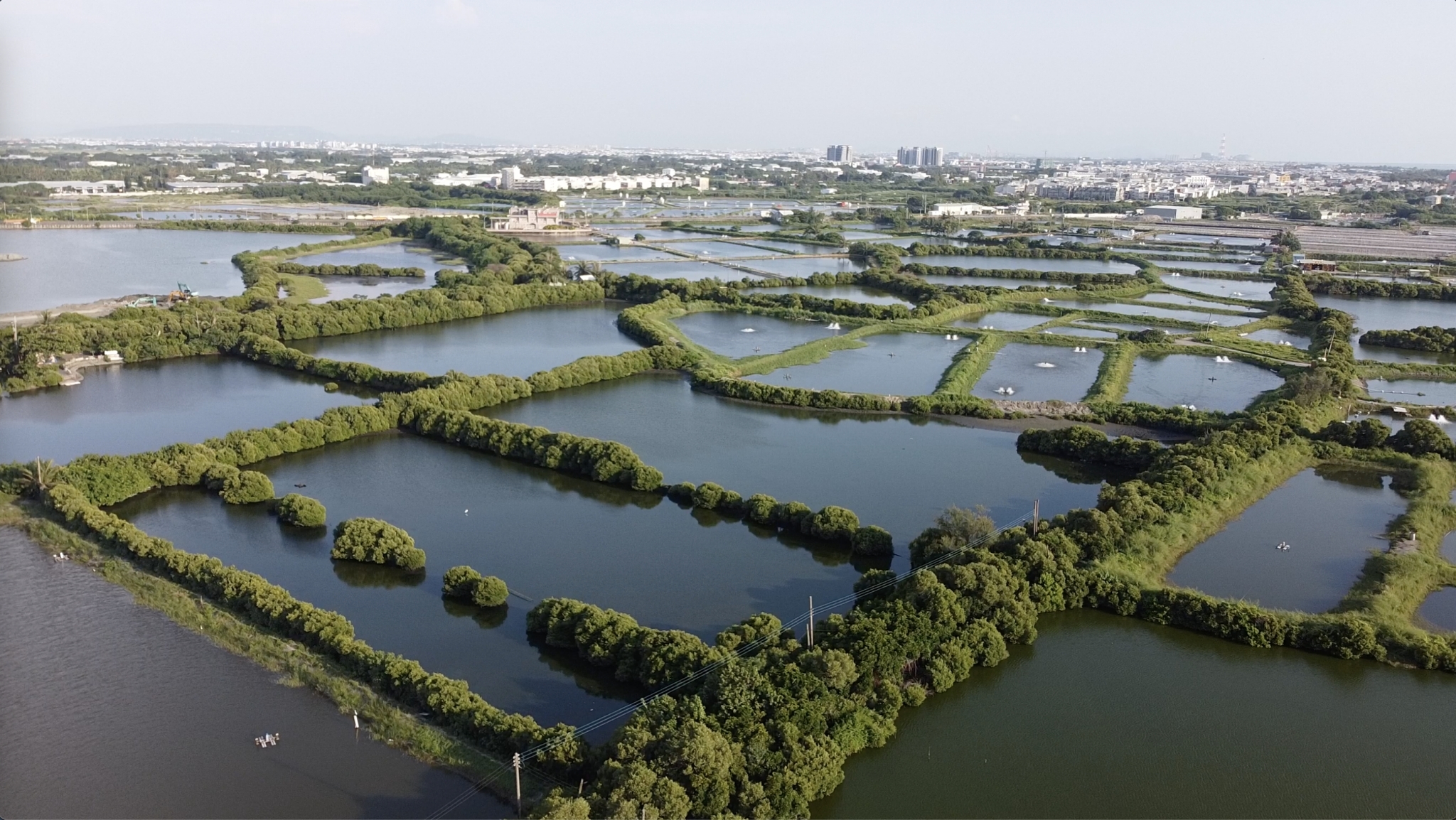 鯤鯓湖濕地空拍照