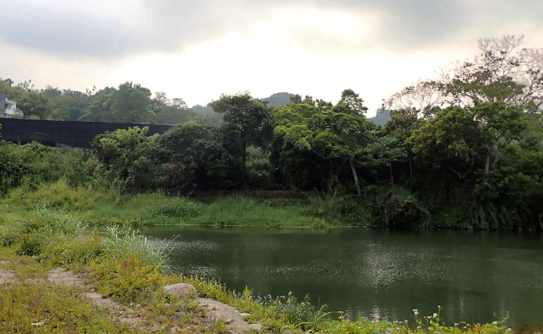 食水嵙溪濕地