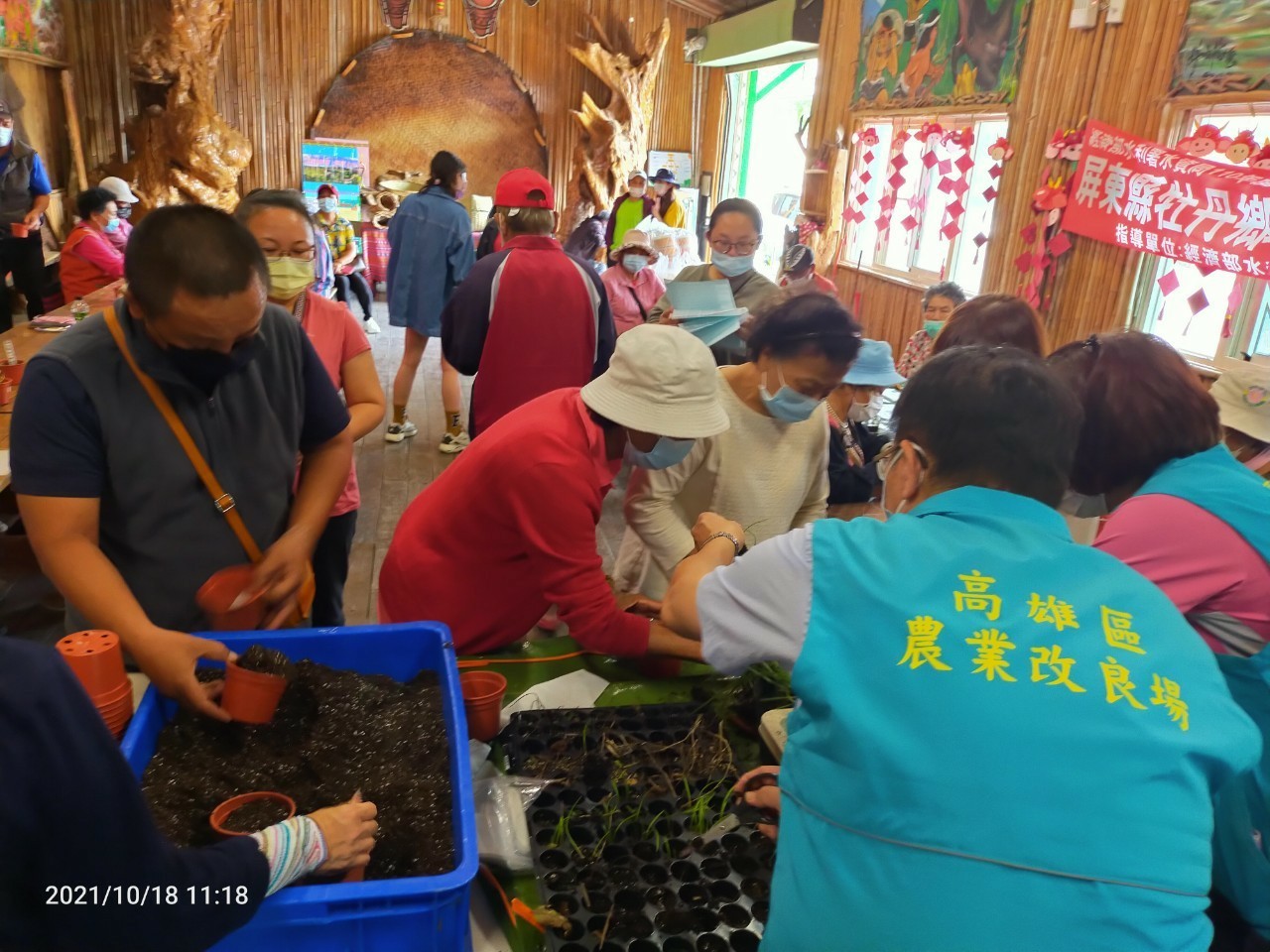 高雄農改場進行野百 合植栽課程